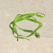 Velvet Shoelaces - Neon Yellow - Alice Bow